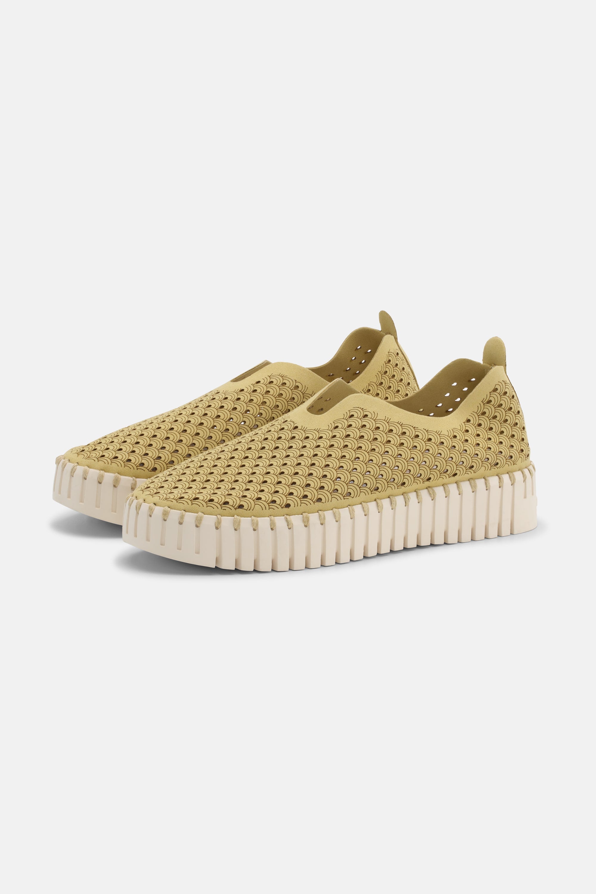 Tulip Chaussures Plateforme - Citronella